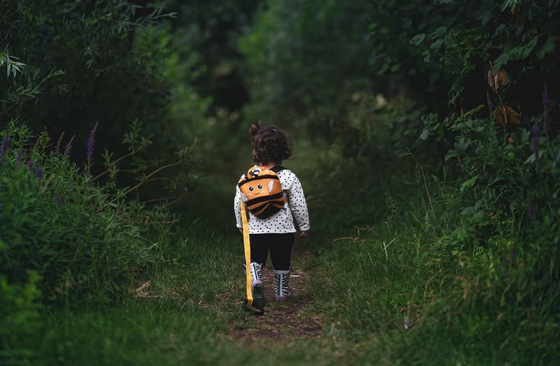 Mindful Walking in Nature